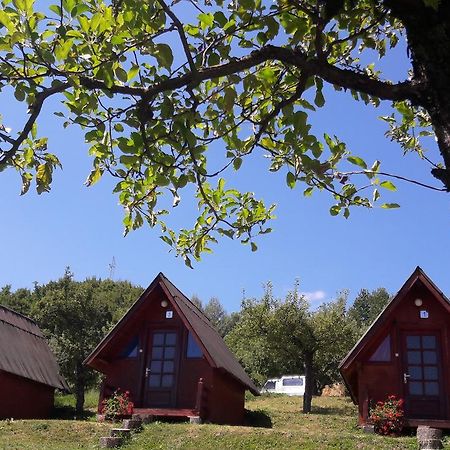 Hotel Calaretii Lui Tepes Capatineni-Paminteni Exteriér fotografie