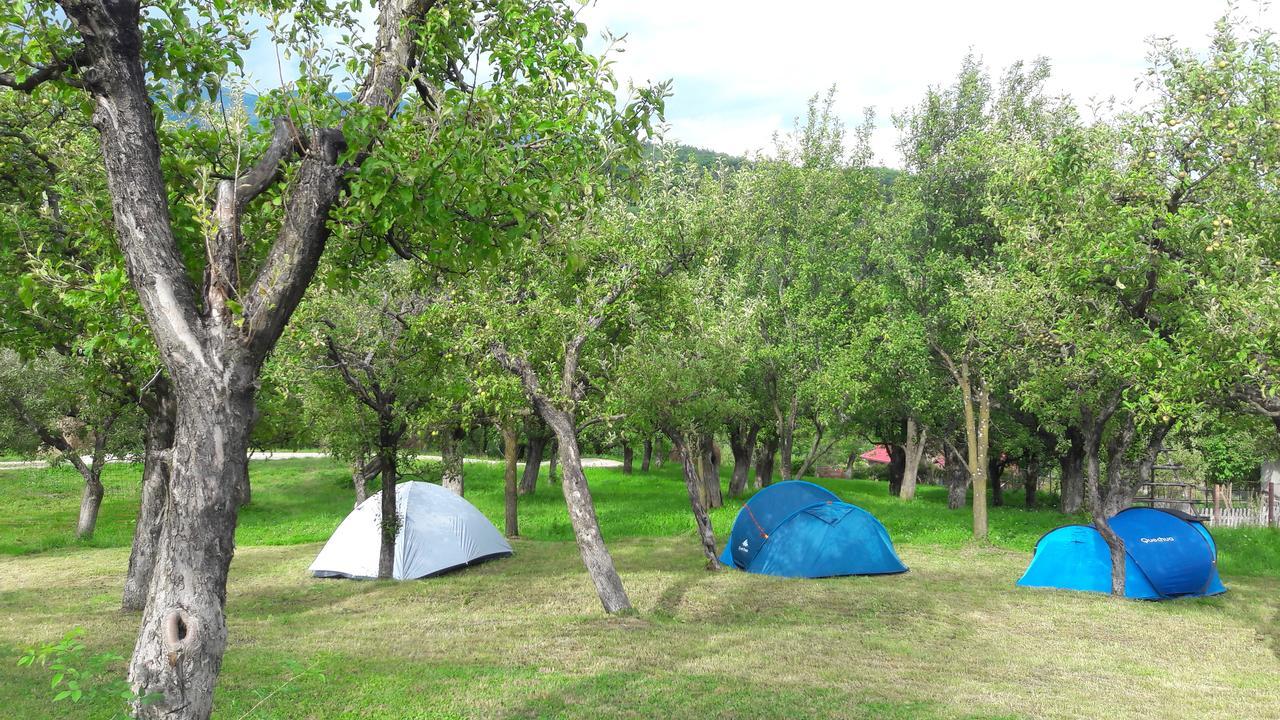 Hotel Calaretii Lui Tepes Capatineni-Paminteni Exteriér fotografie