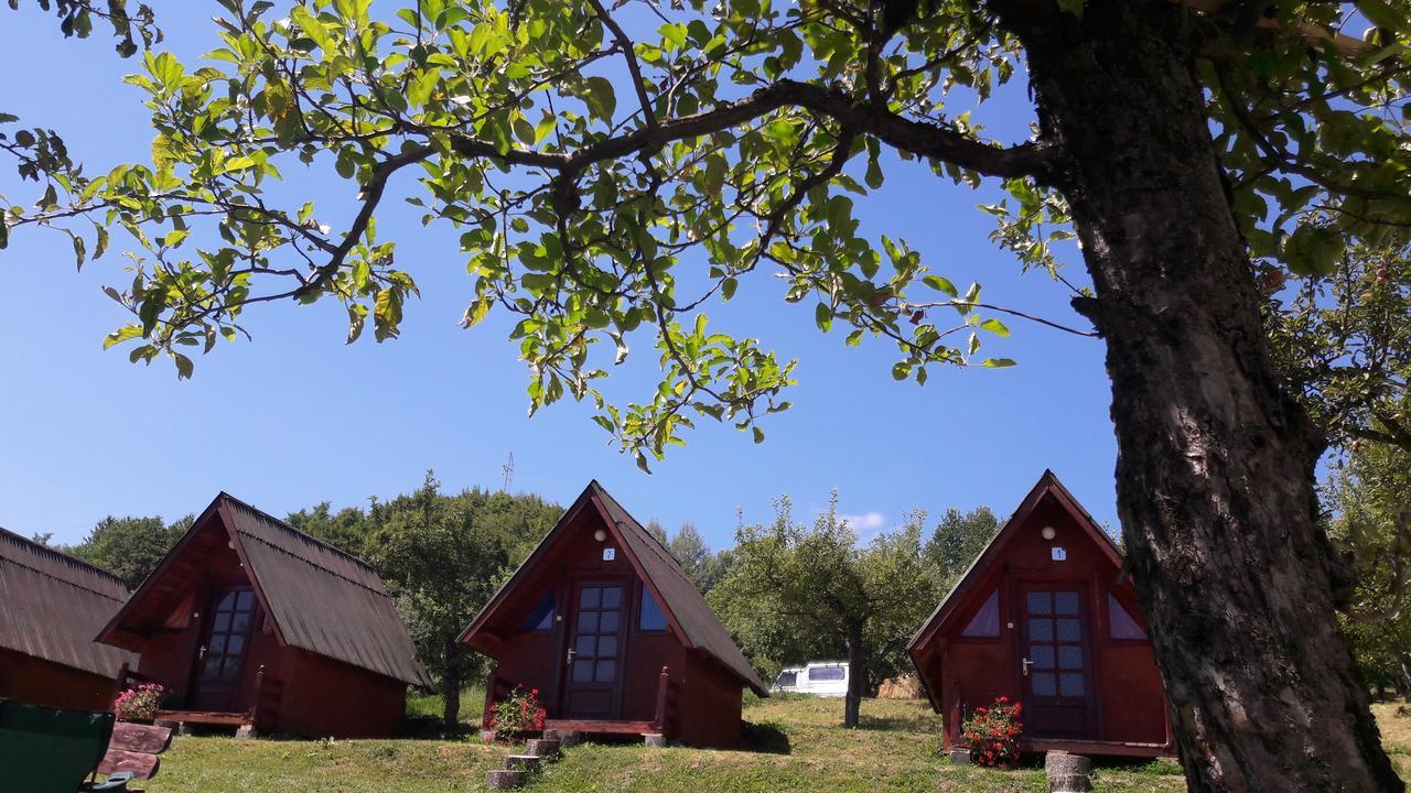 Hotel Calaretii Lui Tepes Capatineni-Paminteni Exteriér fotografie